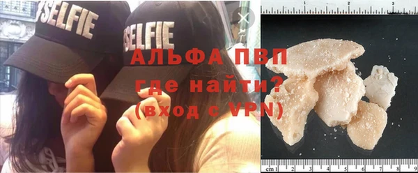 сатива Бронницы