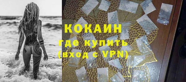 гашик Богданович