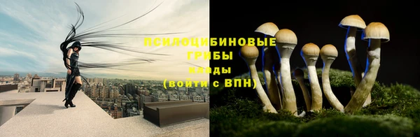 ALPHA PVP Бородино