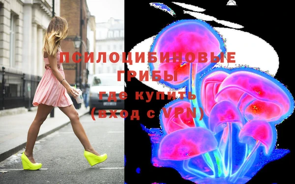 сатива Бронницы