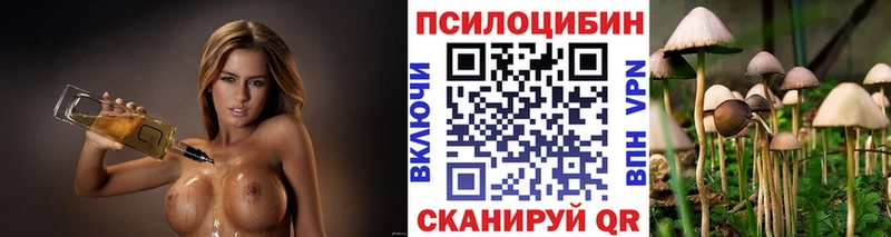 Галлюциногенные грибы GOLDEN TEACHER Верхняя Тура